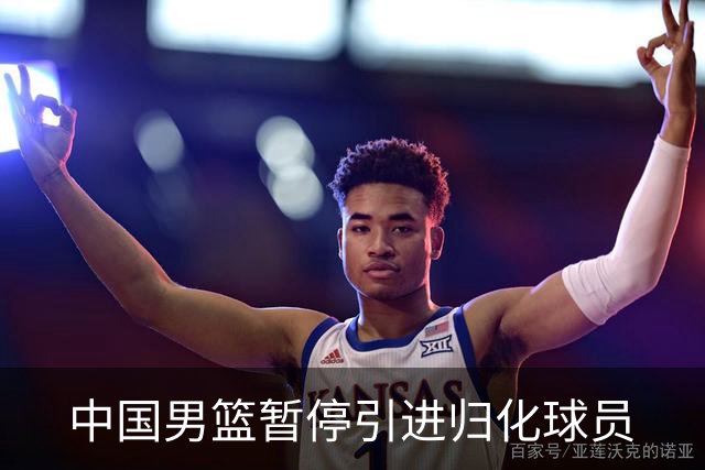 中国男篮暂停引进归化球员