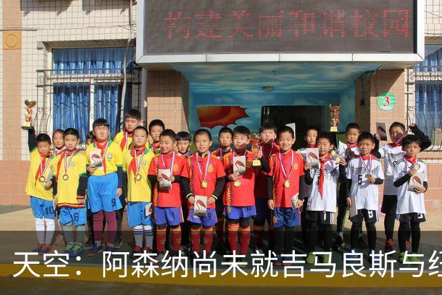 天空：阿森纳尚未就吉马良斯与纽卡接触 但已通过中间人探索交易
