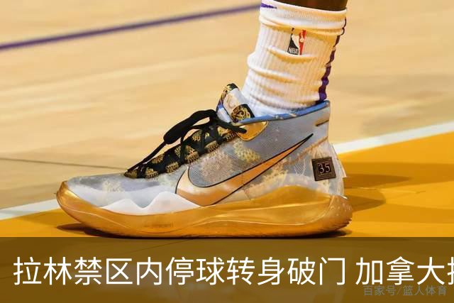 拉林禁区内停球转身破门 加拿大扳回一城1-1波黑