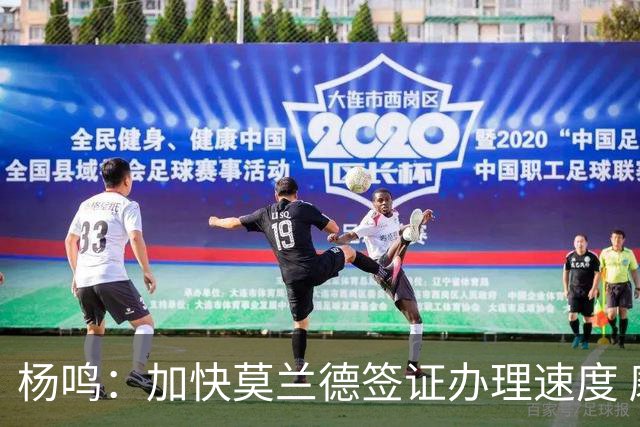 杨鸣：加快莫兰德签证办理速度 磨合需要时间