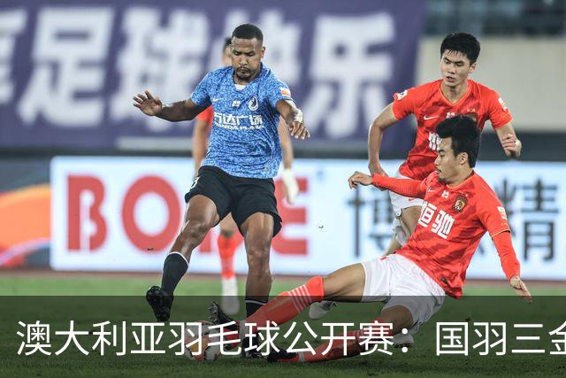 澳大利亚羽毛球公开赛：国羽三金两银收官