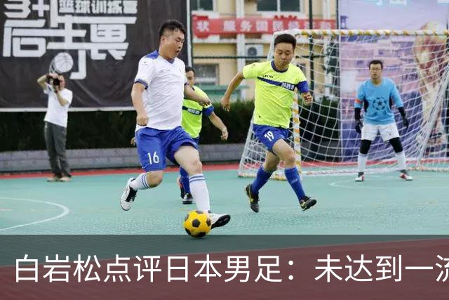 白岩松点评日本男足：未达到一流强队标准，仍需克服对荷兰的恐惧