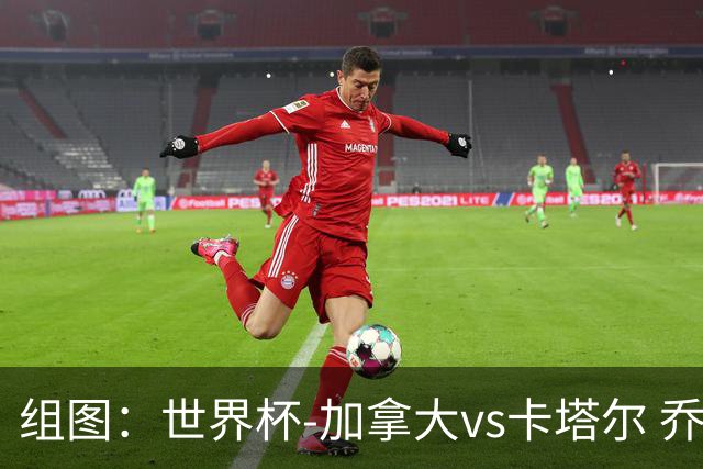 组图：世界杯-加拿大vs卡塔尔 乔纳森-戴维打门被扑拉林补射连场破门