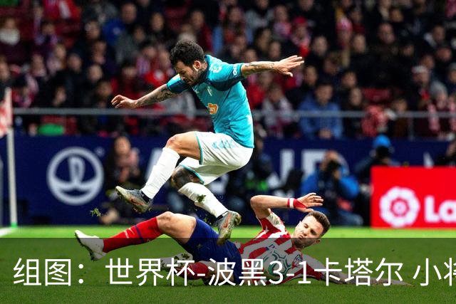 组图：世界杯-波黑3-1卡塔尔 小将破门哲科造乌龙
