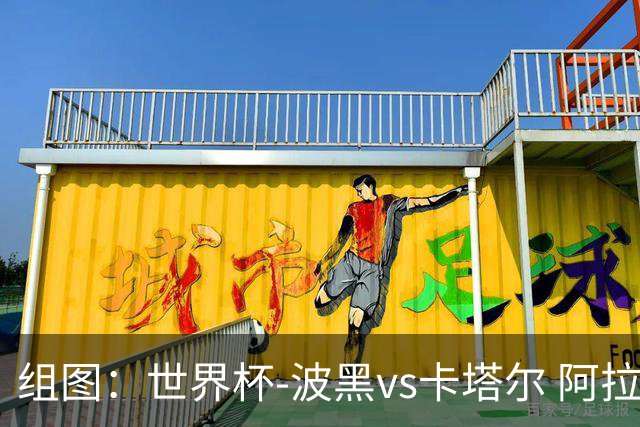 组图：世界杯-波黑vs卡塔尔 阿拉伊贝戈维奇禁区外远射破门