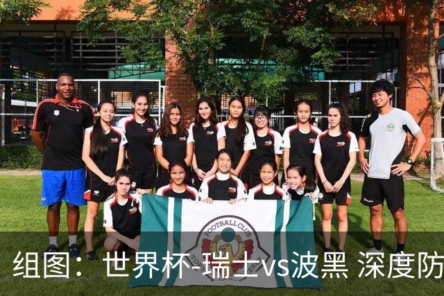 组图：世界杯-瑞士vs波黑 深度防守之下机会寥寥