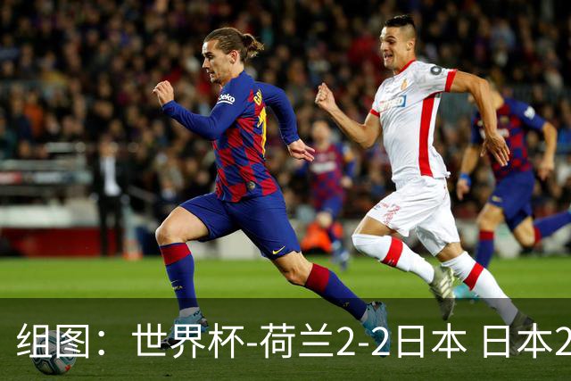 组图：世界杯-荷兰2-2日本 日本2度落后2度扳平