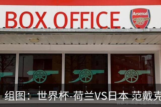 组图：世界杯-荷兰VS日本 范戴克头球破门先拔头筹