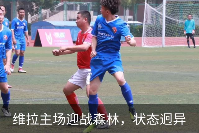 维拉主场迎战森林，状态迥异