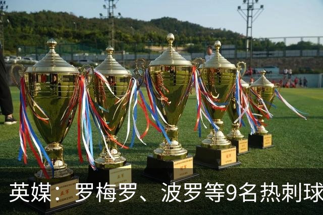 英媒：罗梅罗、波罗等9名热刺球员参加世界杯，俱乐部将获146万镑