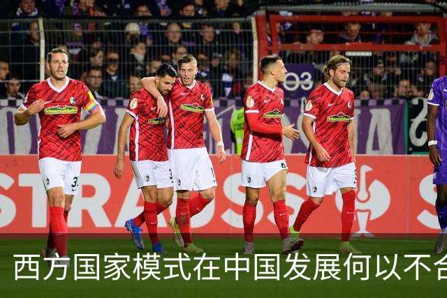 西方国家模式在中国发展何以不合适？