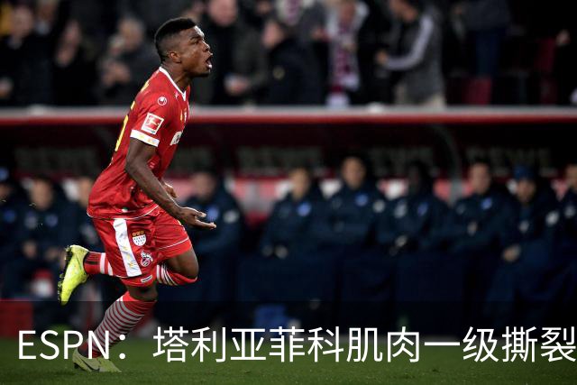 ESPN：塔利亚菲科肌肉一级撕裂，至少缺席世界杯前两场小组赛