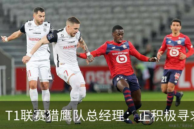 T1联赛猎鹰队总经理：正积极寻求安东尼加盟